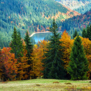 21 mil Fine Art Gloss Canvas